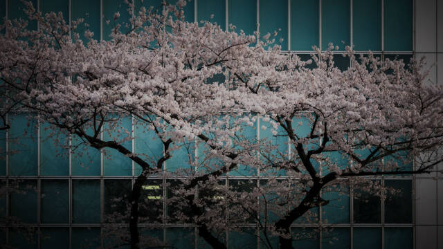 東京ステーションギャラリー所蔵作家￼山家利治￼草原遠望　10F￼額39 × 59 アーティスト トム・サックスの、小山登美夫ギャラリーでの展覧